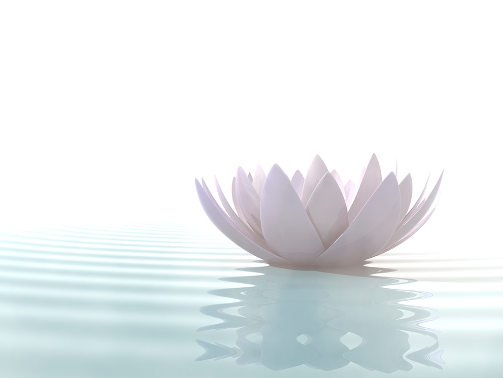 Meditación en Comunidad[br]Curso 2025[br] 